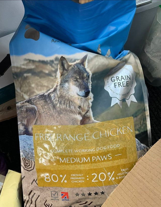 Akela puppy salmon shop