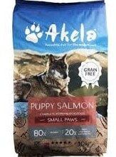 Akela puppy salmon shop